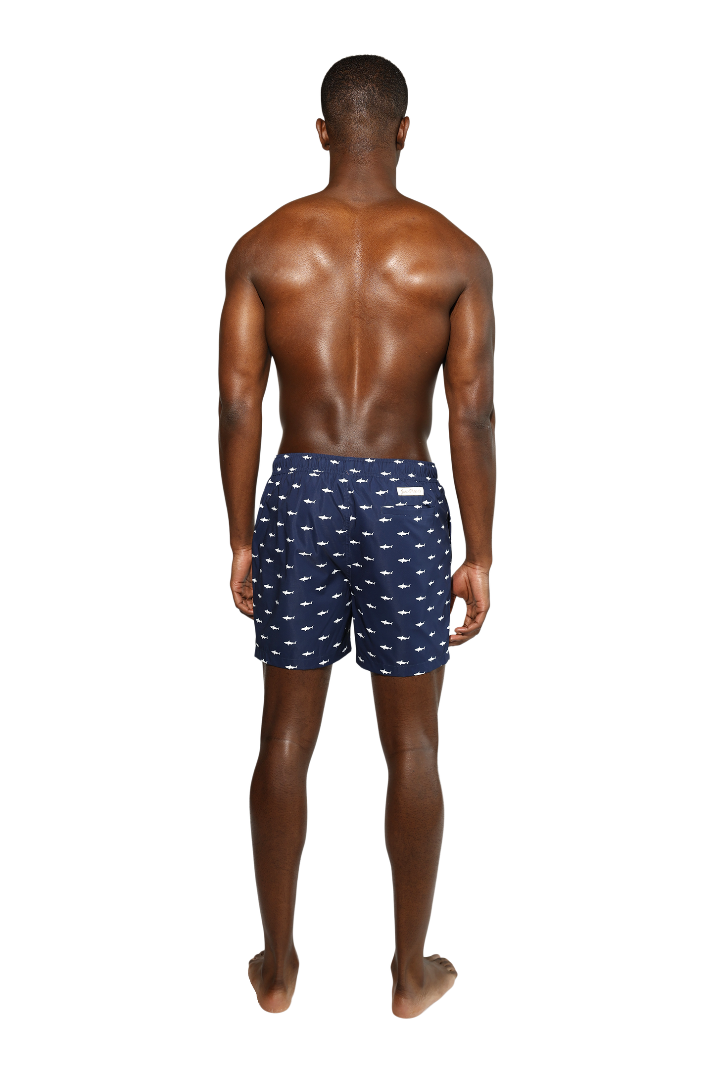 Sharky Swim Short