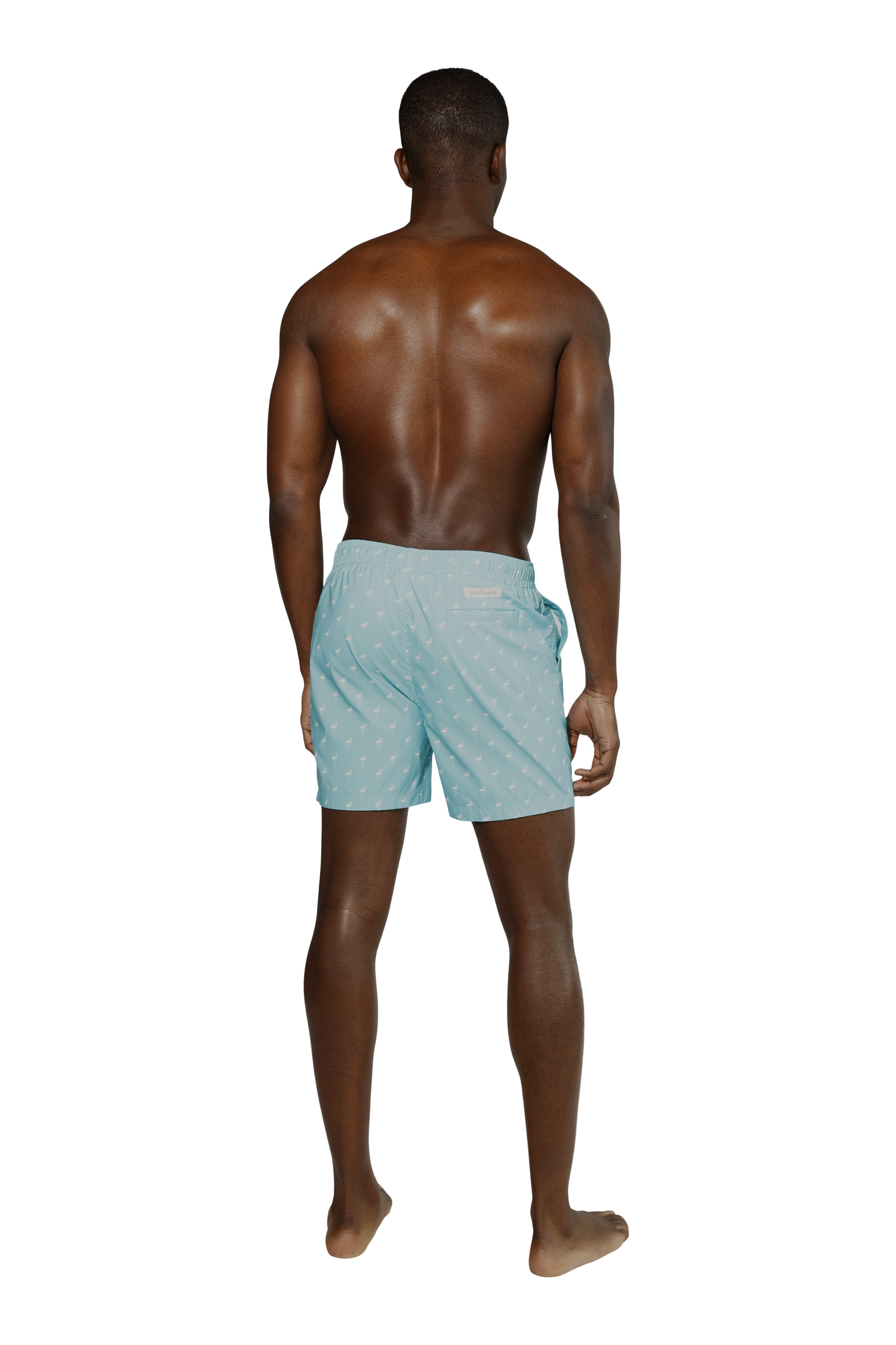 Flamingos Swim Short