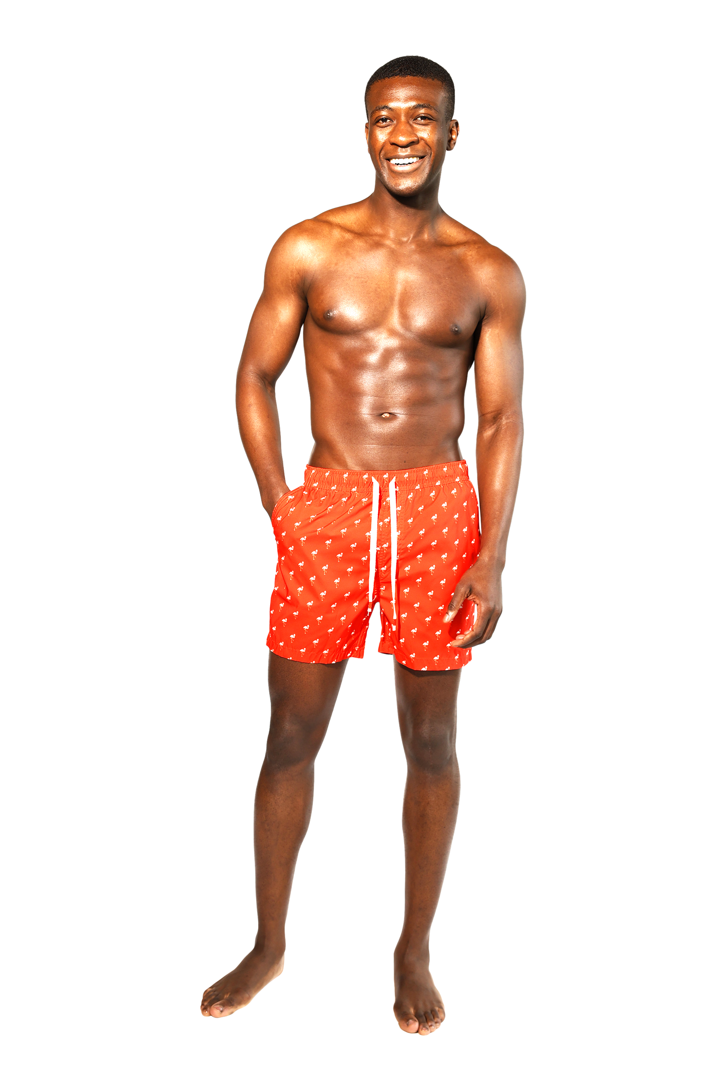 Flamingos Swim Short